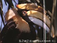 11第八次